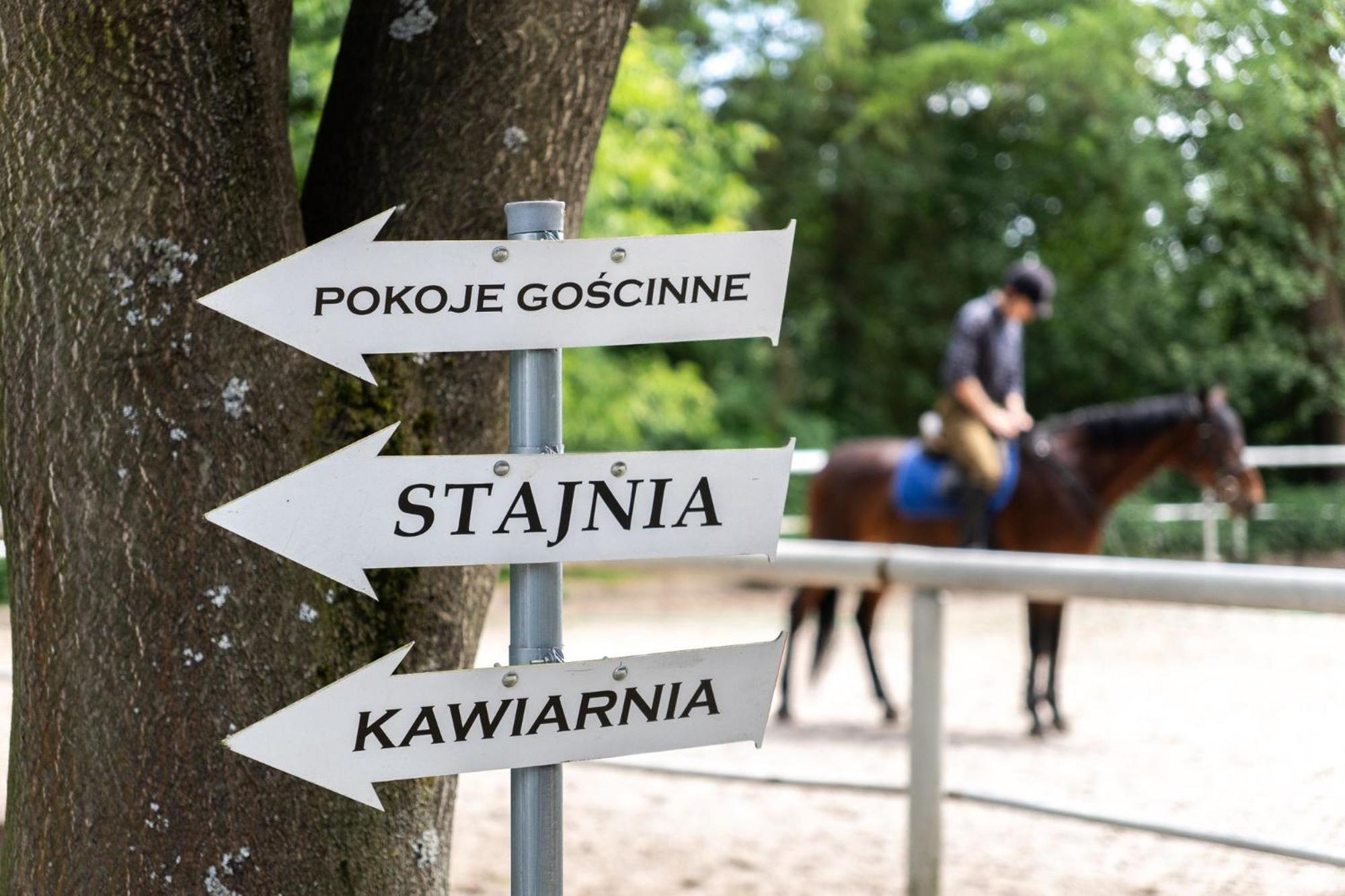 Pokoje Goscinne Cheval 크라쿠프 외부 사진